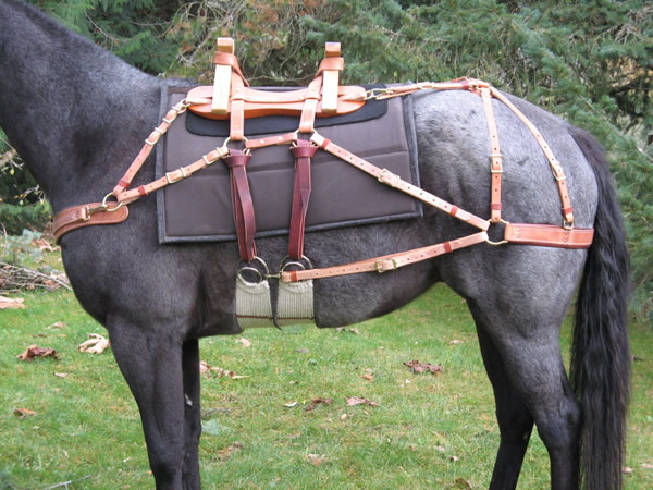 The Chris Tornow Custom Sawbuck Pack Saddle 