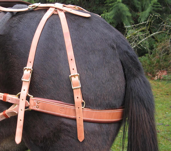 saddle buckles